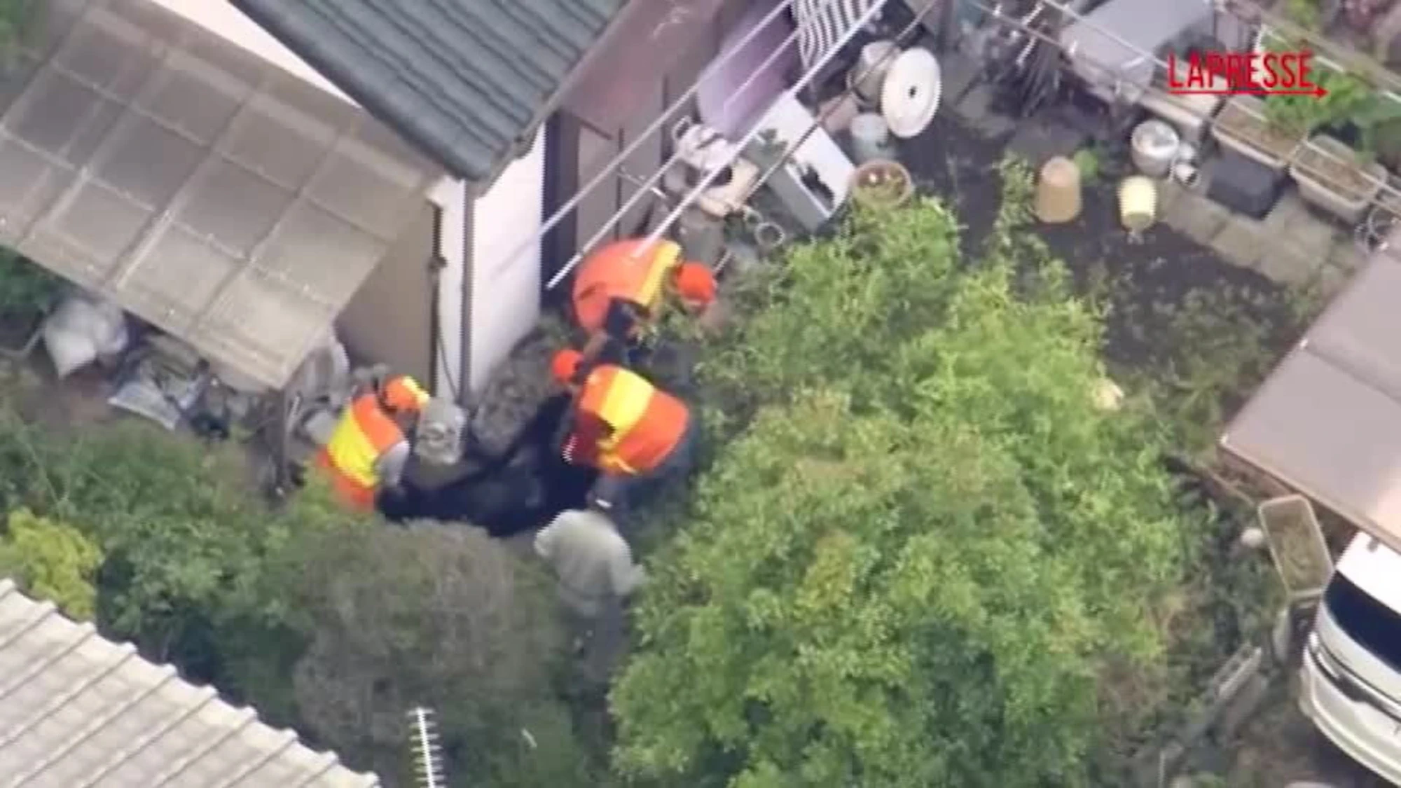 Giappone, orso catturato dopo diversi giorni di caccia a Utsunomiya