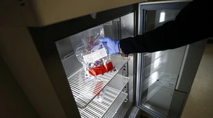 Coronavirus, l'omelia di un parroco contro il vaccino: "Pagano donne per abortire e usare i loro feti vivi"