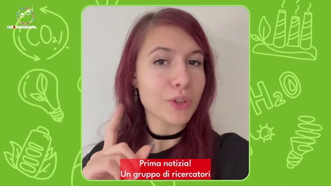 Scoperta una medusa grande quanto un autobus