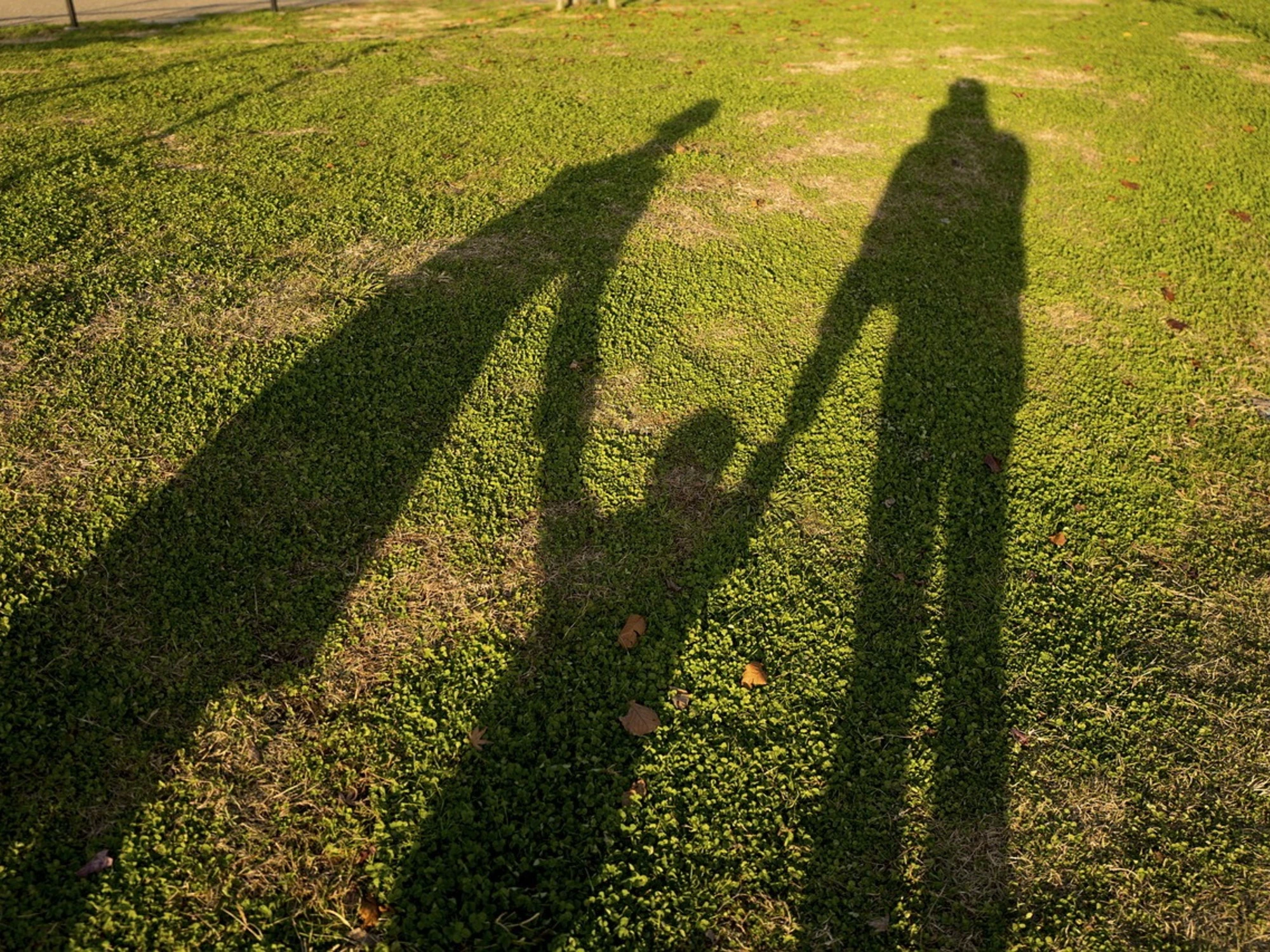 Brescia, 5 anni allo stupratore della bimba? FdI, mossa contro le toghe di Brescia