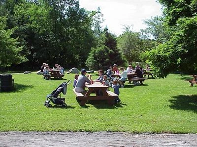 A ferragosto picnic solo per 15% italiani