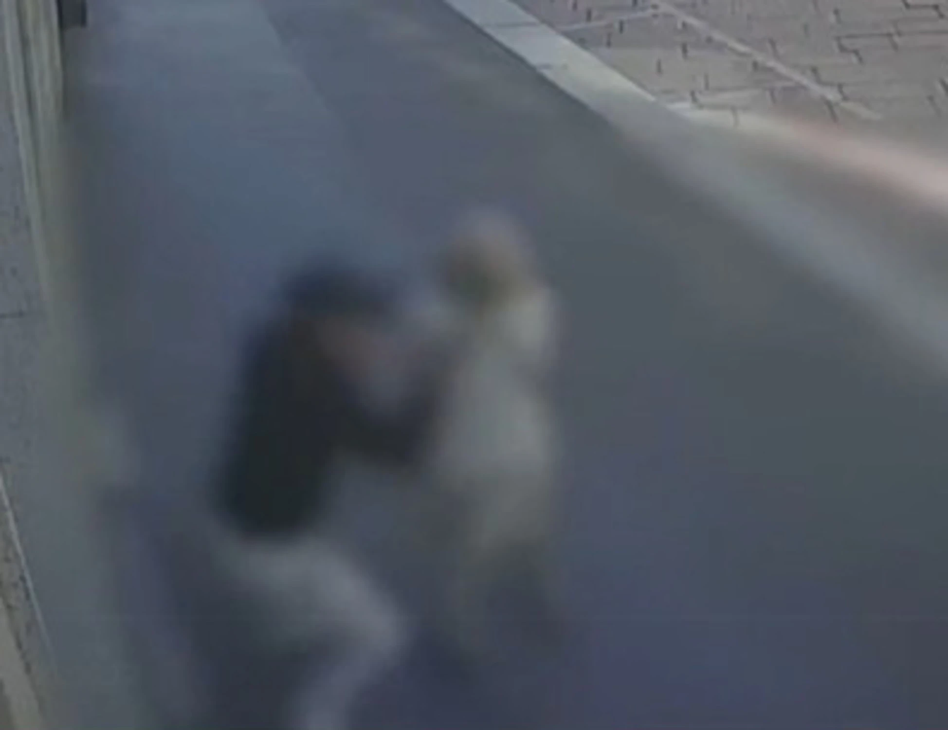 Milano, algerino "rapina con violenza" una 87enne in strada