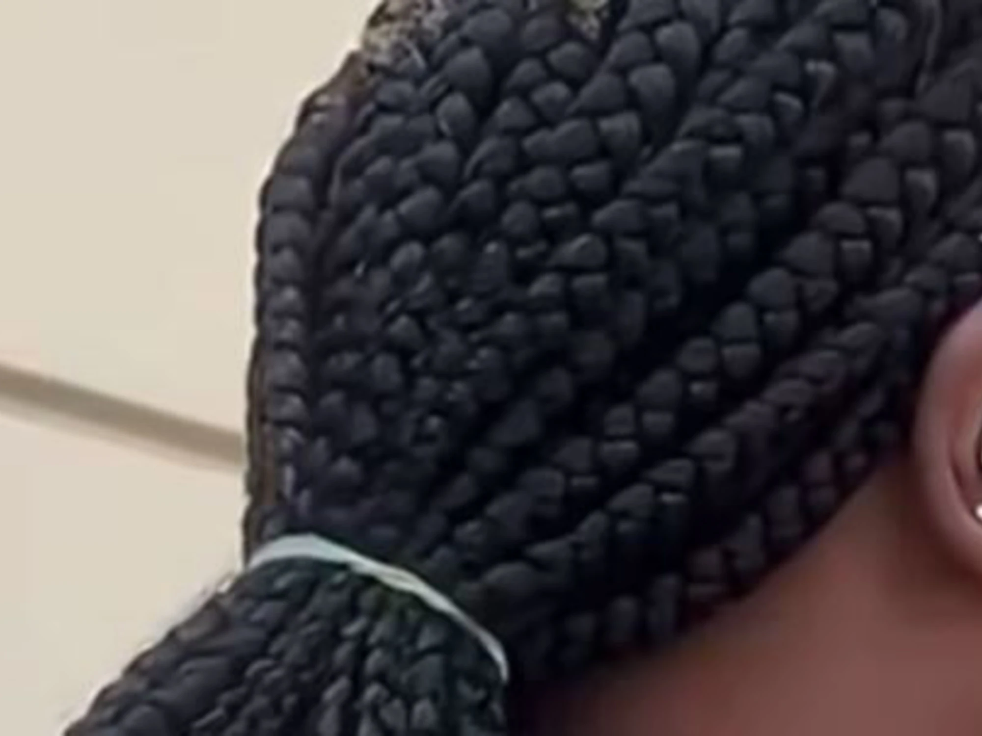 "Str*** di m***, vi paghiamo le pensioni": l'immigrata ci insulta