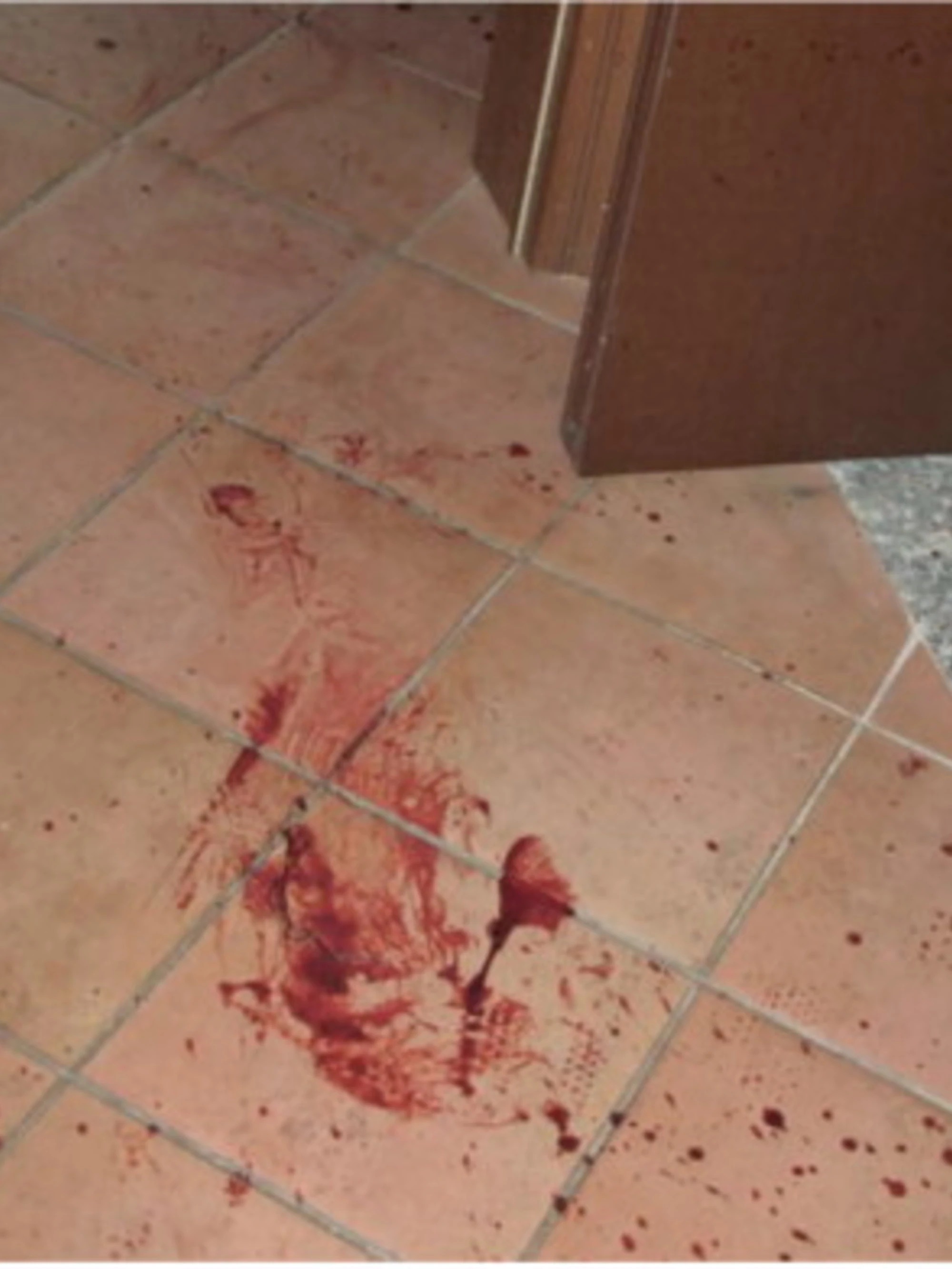 Garlasco, spunta una misteriosa "mano sinistra"