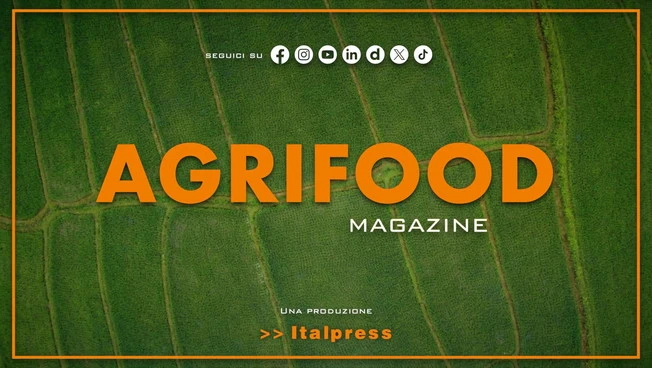 Agrifood Magazine - 5/8/2026