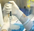 Influenza A, Fazio avverte: