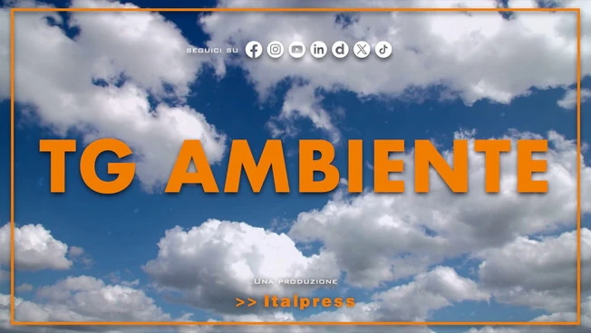 Tg Ambiente - 25/1/2026
