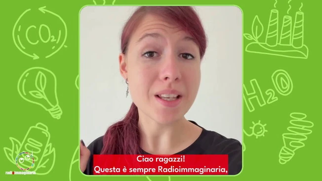 Anche le scimmie sono gelose