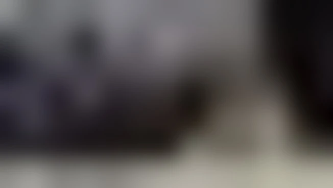 https://media.liberoquotidiano.it/JI6Cqu0tltzAXDZIIx6AZAVYjY1EJ7zseMDcK_sAr9M/width:800/quality:90/aW1hZ2VzLzIwMjUvMDkvMjkvMTczMTIxMTMyLTJlNGZhZGE0LTc2NGQtNGJiMi05NWYyLWRmMmQ5YjdlNzRmYy5qcGc.webp