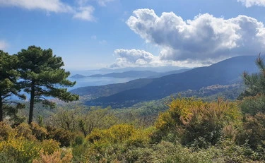 https://media.liberoquotidiano.it/JLbGh9UNbU__JNK2IaoLDcPzF5A0iZvOni4tz2NW9UU/width:800/quality:90/aW1hZ2VzLzIwMjYvMTAvMTAvMDYyNzI3ODQ4LWE5NGUxOWRmLWY1NjQtNGIwYS05NWE3LThjZGM4OTljNTVjMS5qcGc.webp