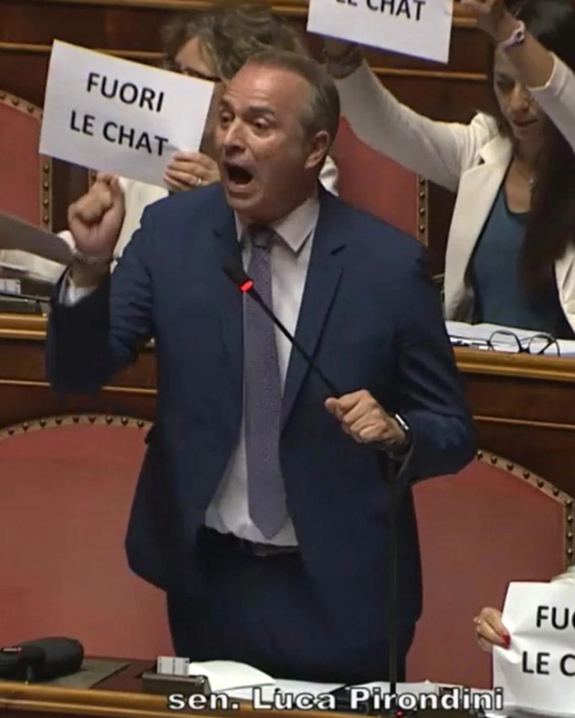 Bagarre al Senato, Menia di FdI contro il grillino: "Vieni qua che ti faccio un..."
