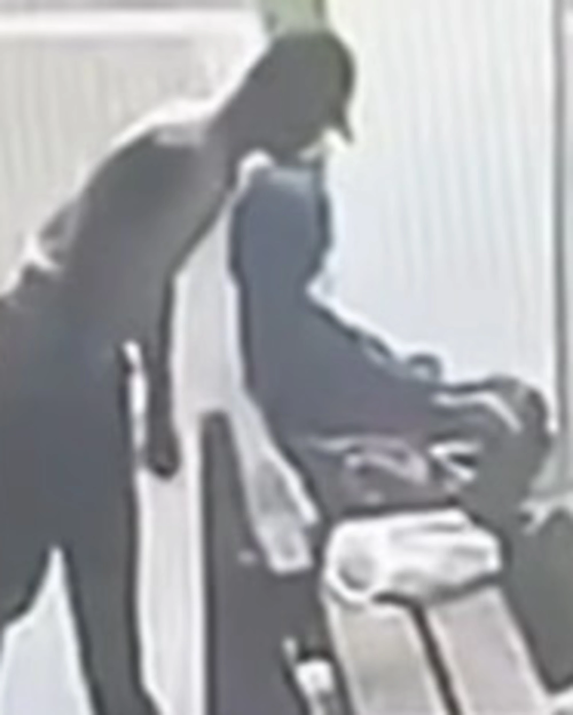 Foggia, gambiano rapina e trascina a terra una donna in stazione