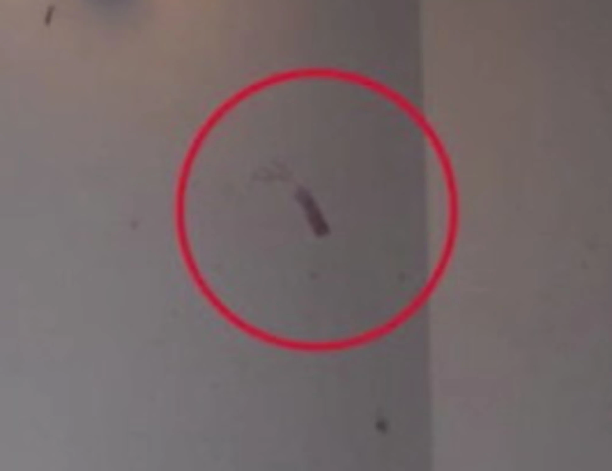 Garlasco, spuntano 28 impronte: nuovo giallo, ecco di chi sono