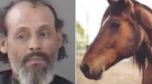 Santiago Victoria, quest'uomo lega un cavallo e ci fa sesso? Finale raccapricciante: le immagini dalla stalla