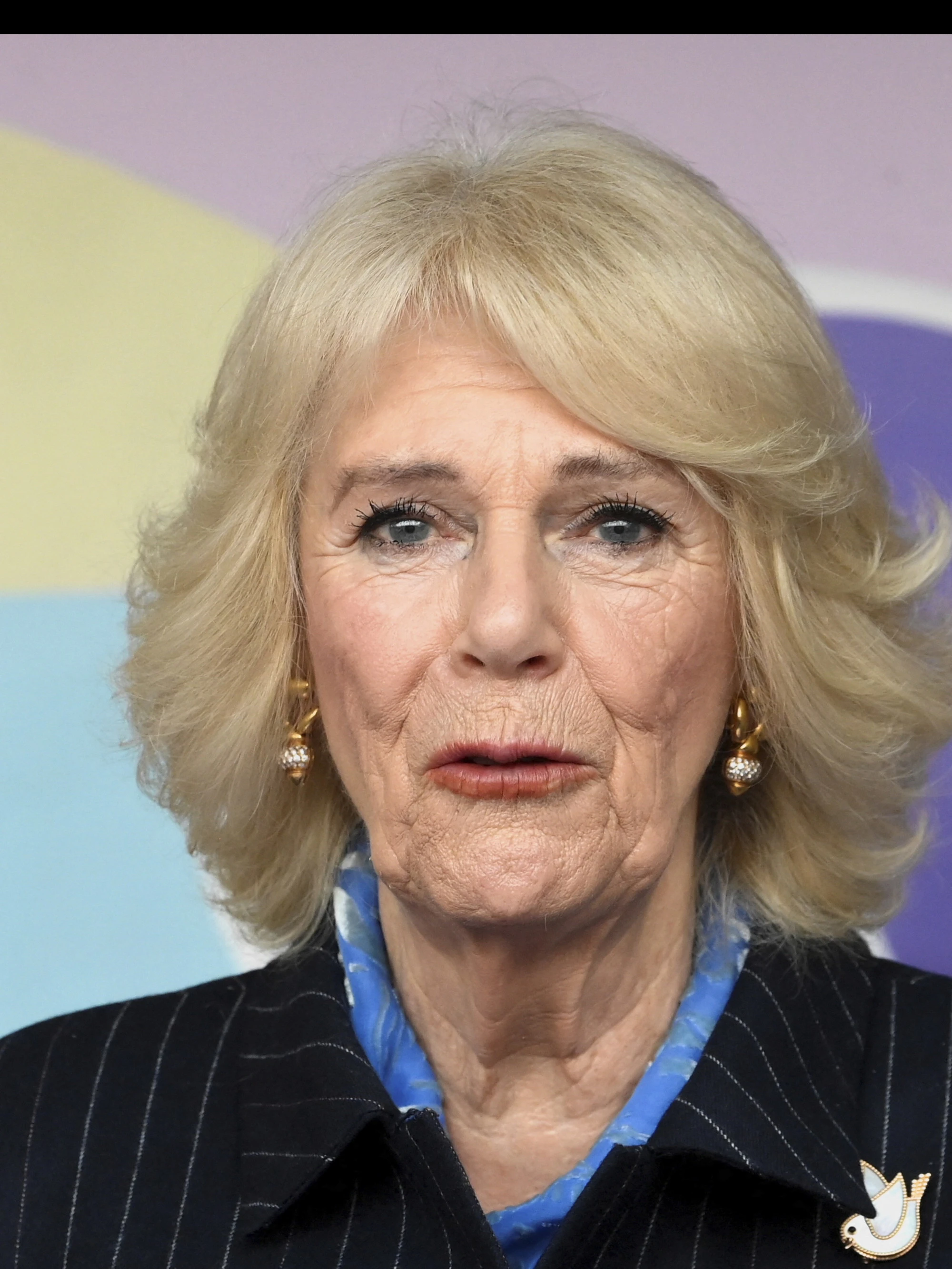 Camilla, uno choc: tentato stupro, tacchi a spillo nelle parti intime