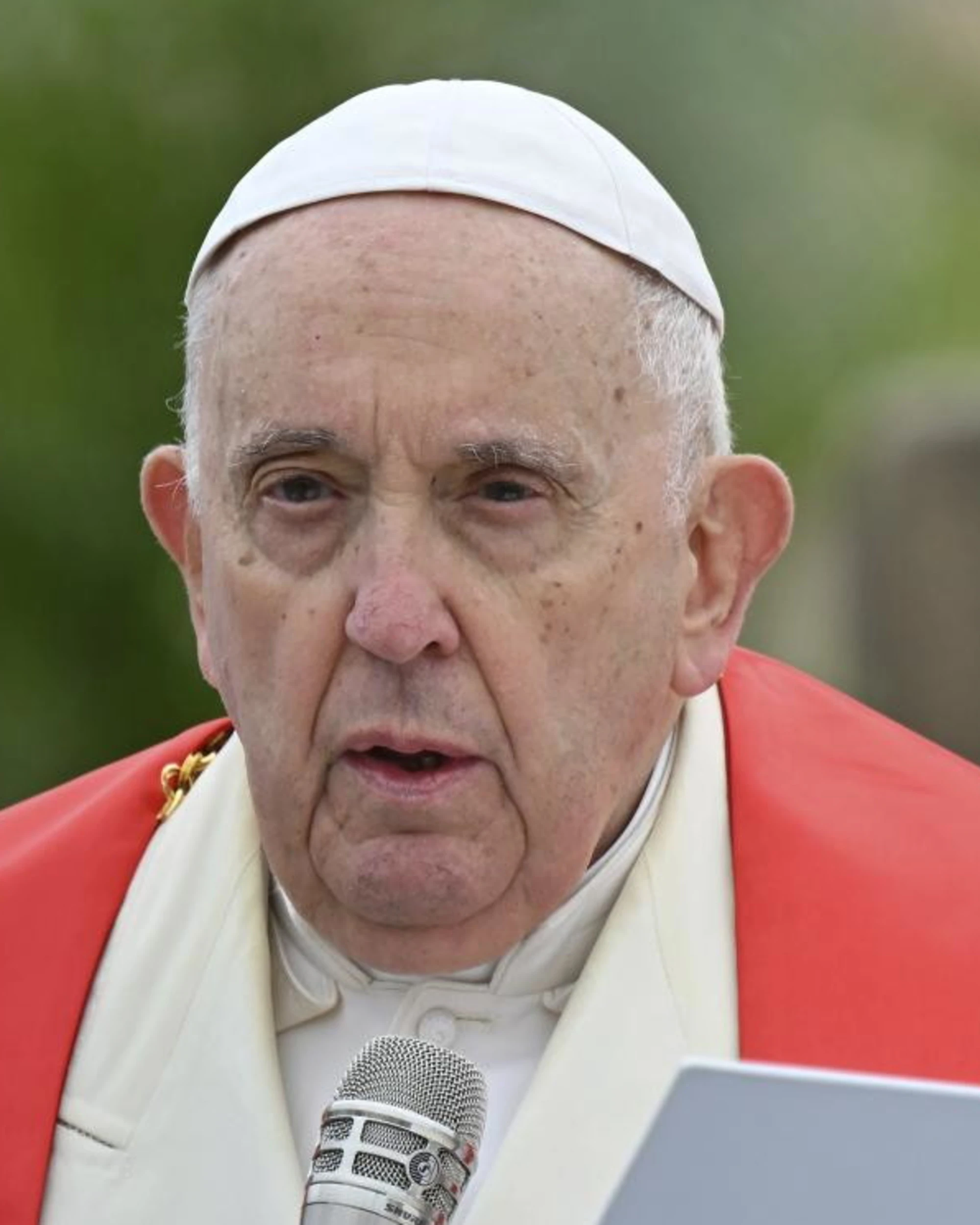 Elly Schlein smemorata: cosa diceva Papa Francesco su gender e trafficanti