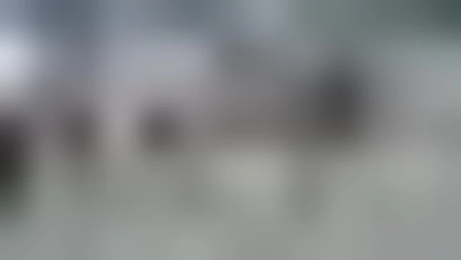 A Utrecht sposi in stazione e in abiti usati per dire no allo spreco