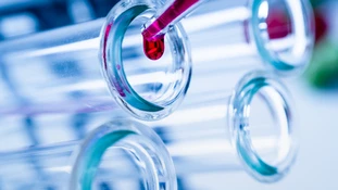 Vaccino Pfizer al coronavirus, "scudo legale": in caso di complicazioni non si potrà far causa al colosso
