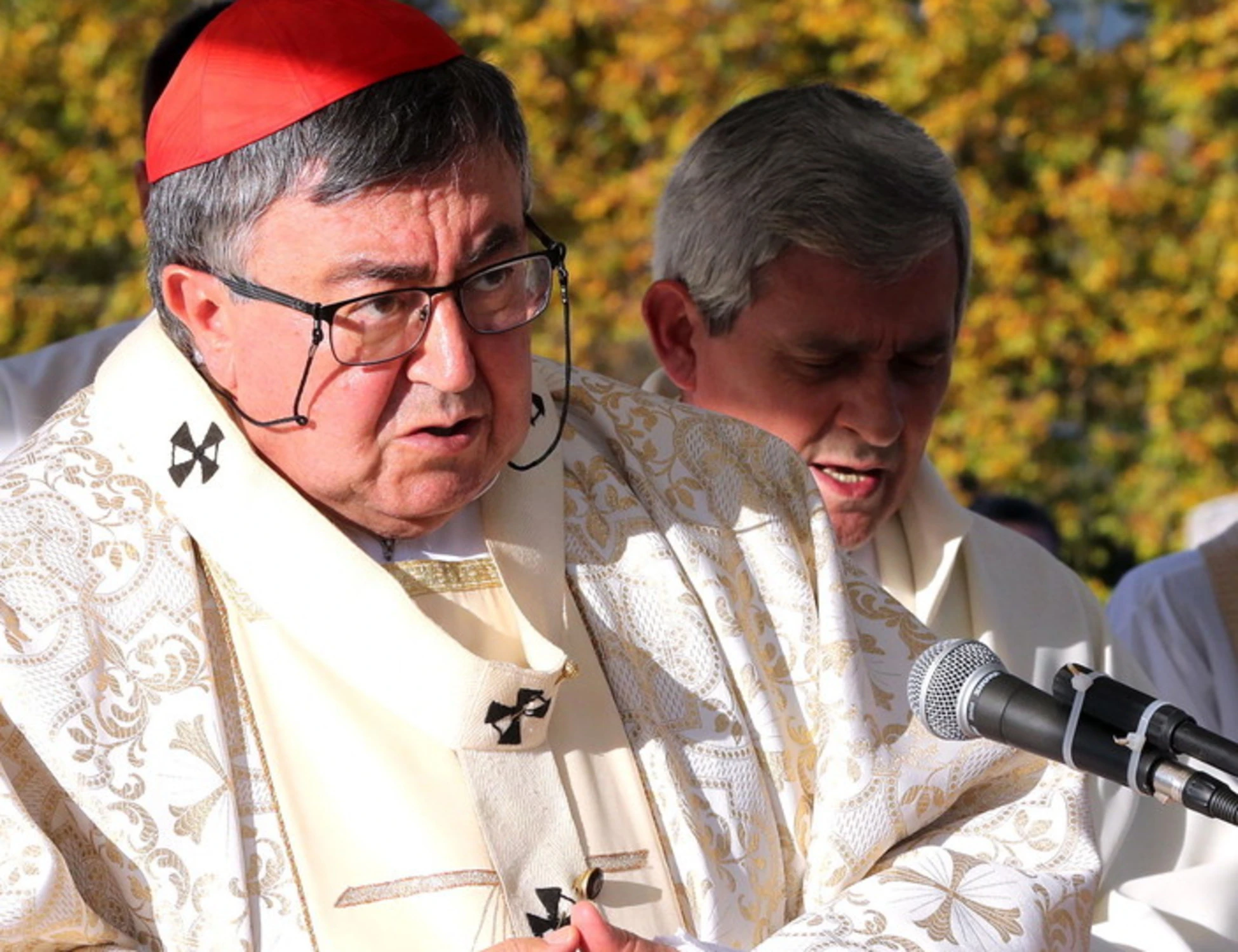 Conclave, Puljic assicura: "Con un aiuto ce la faccio"