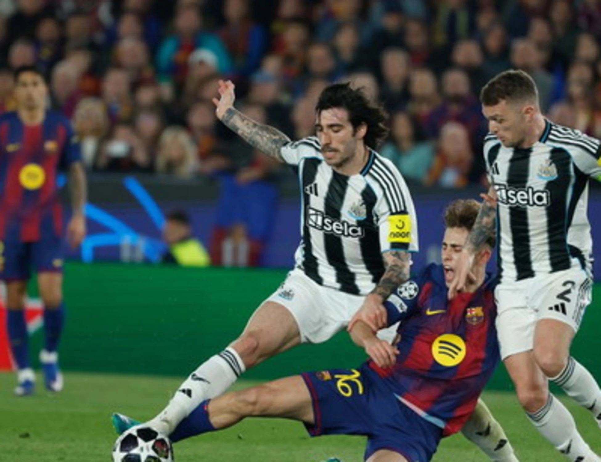 Gattuso, si mette malissimo: l'infortunio di Tonali, mazzata sull'Italia