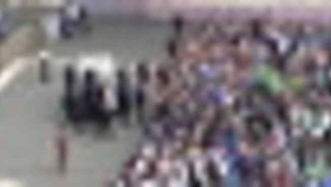 Protesta contro la corrida della Peta all'udienza di Papa Leone XIV