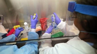Coronavirus, il report degli 007 Usa di metà novembre: "Può essere un cataclisma". Da quanto la Cina sapeva?