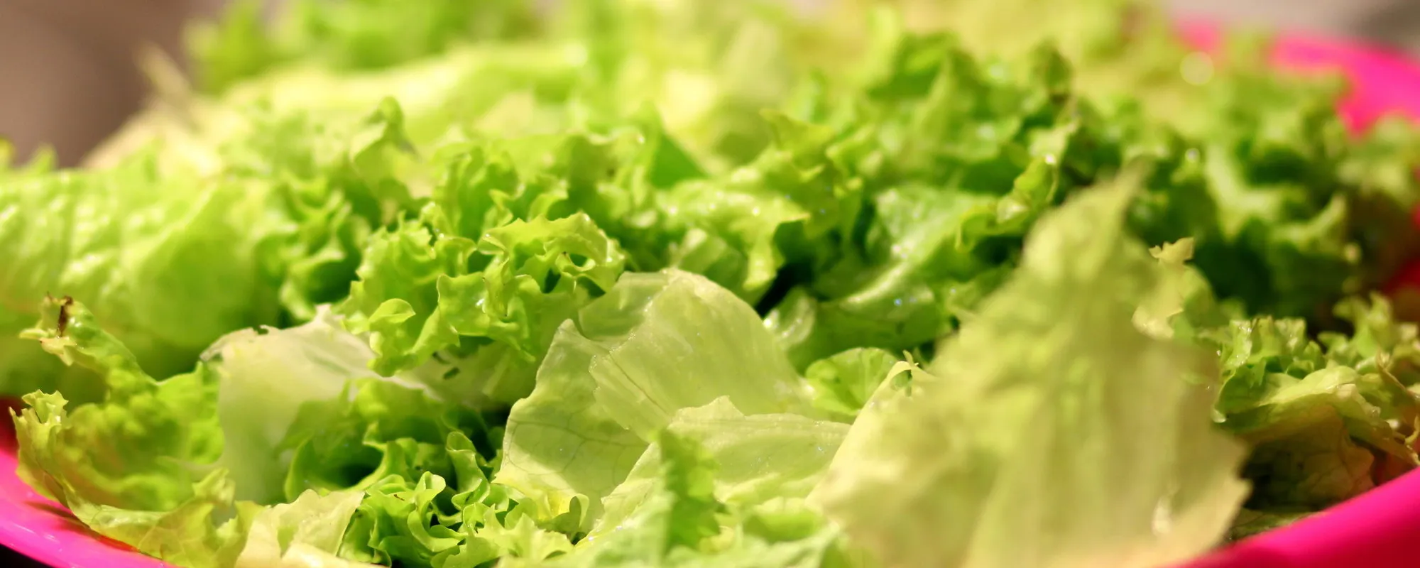 Compra un'insalata, choc a Monza: cosa trova al suo interno