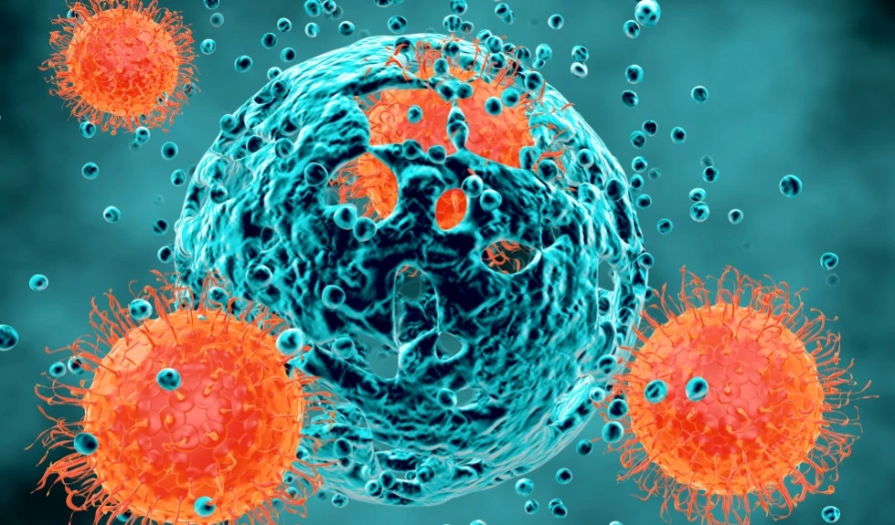 Cancro, la nuova scoperta rivoluzionaria: si può sconfiggere con l&apos;immunoterapia