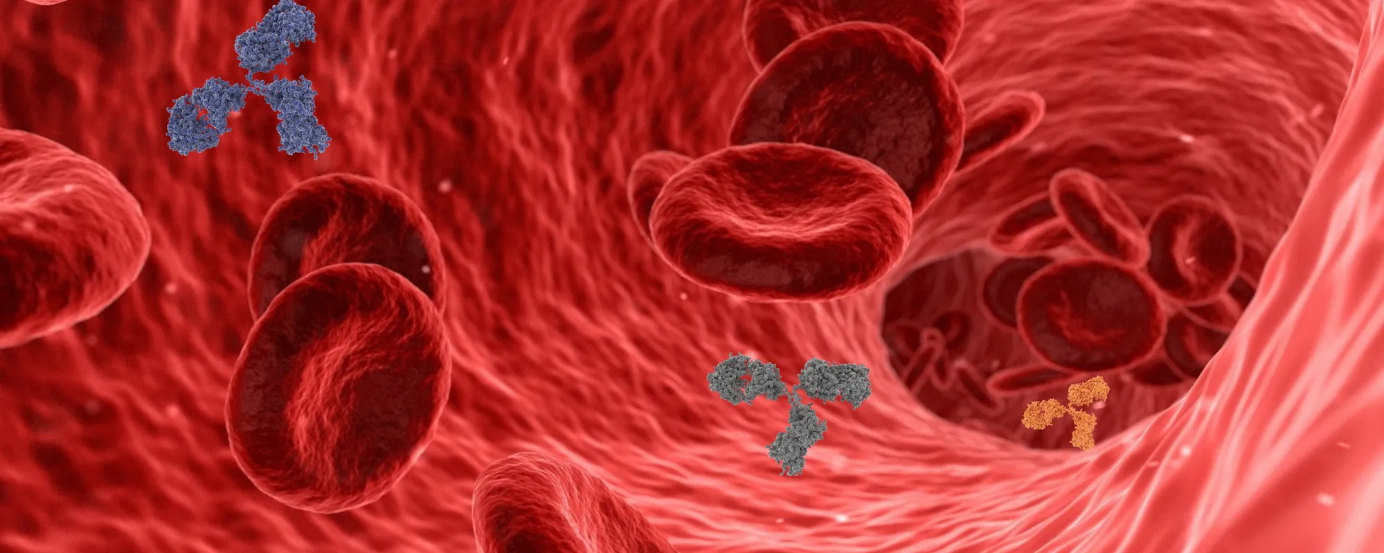Melanoma, la proteina che ti condanna: contagia tutto il corpo