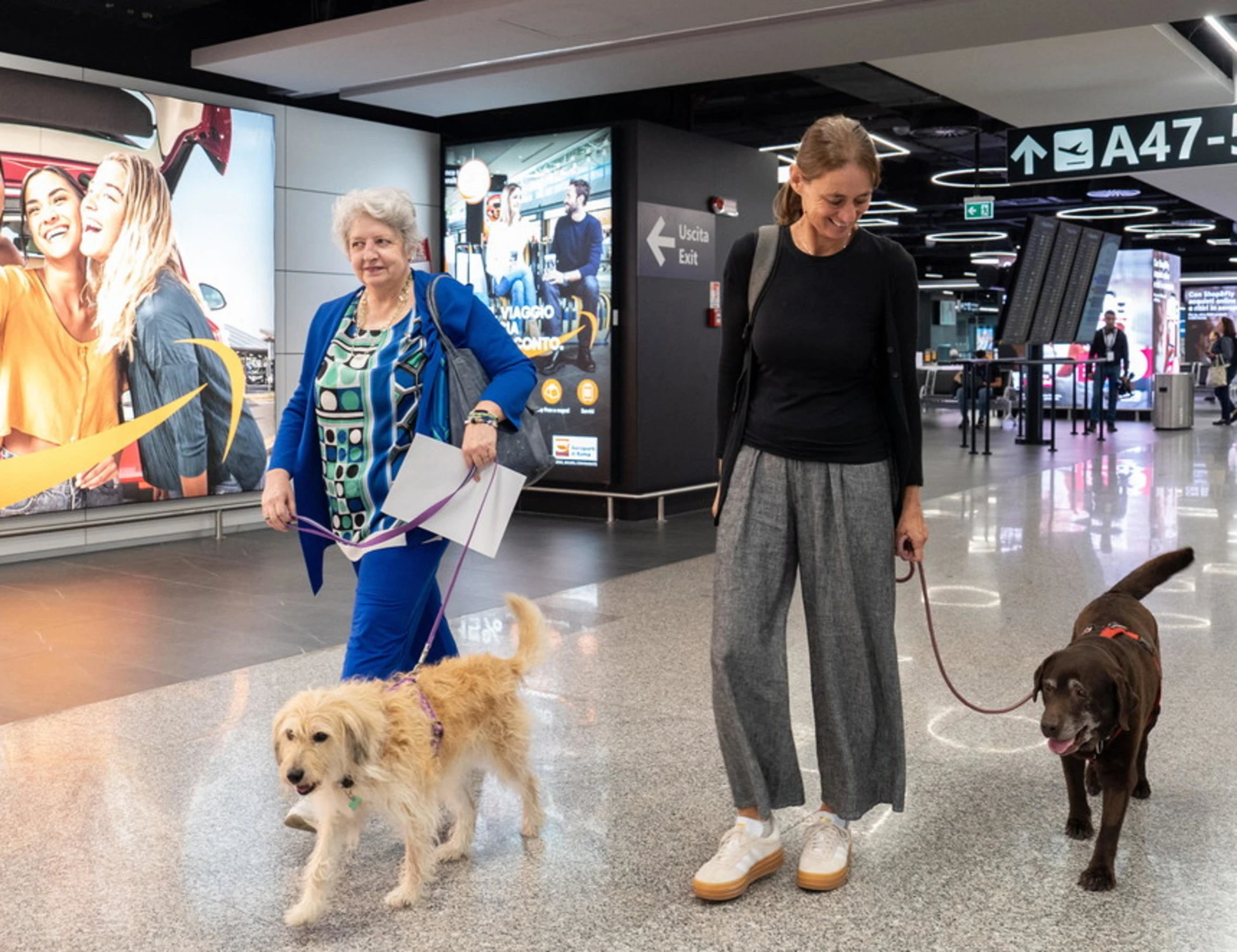 Cani grandi in aereo: per noi padroni una svolta, i contrari si ricrederanno