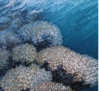"Sesto continente": Giovanni Boffa porta a Verona la sua passione per il mare e la natura