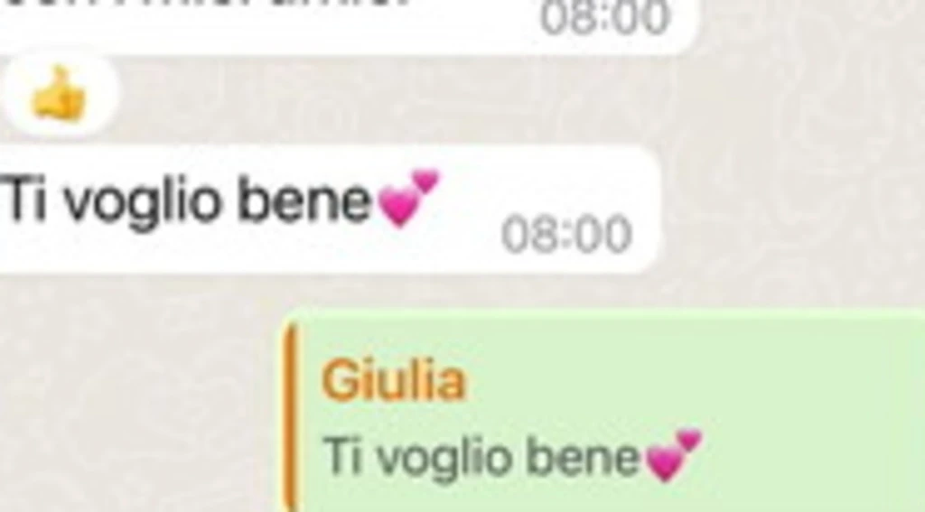 Giulia Cecchettin, l'ultima chat con papà Gino: "Spero di non averti svegliato"