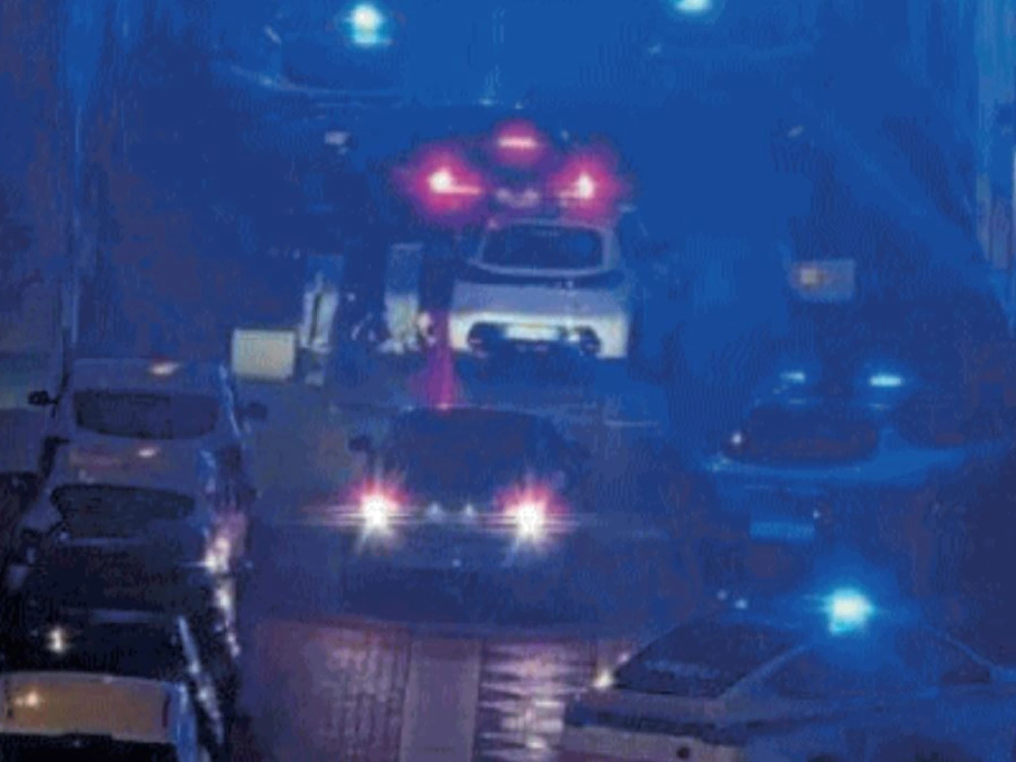 La sfida del branco: 30 contro la polizia