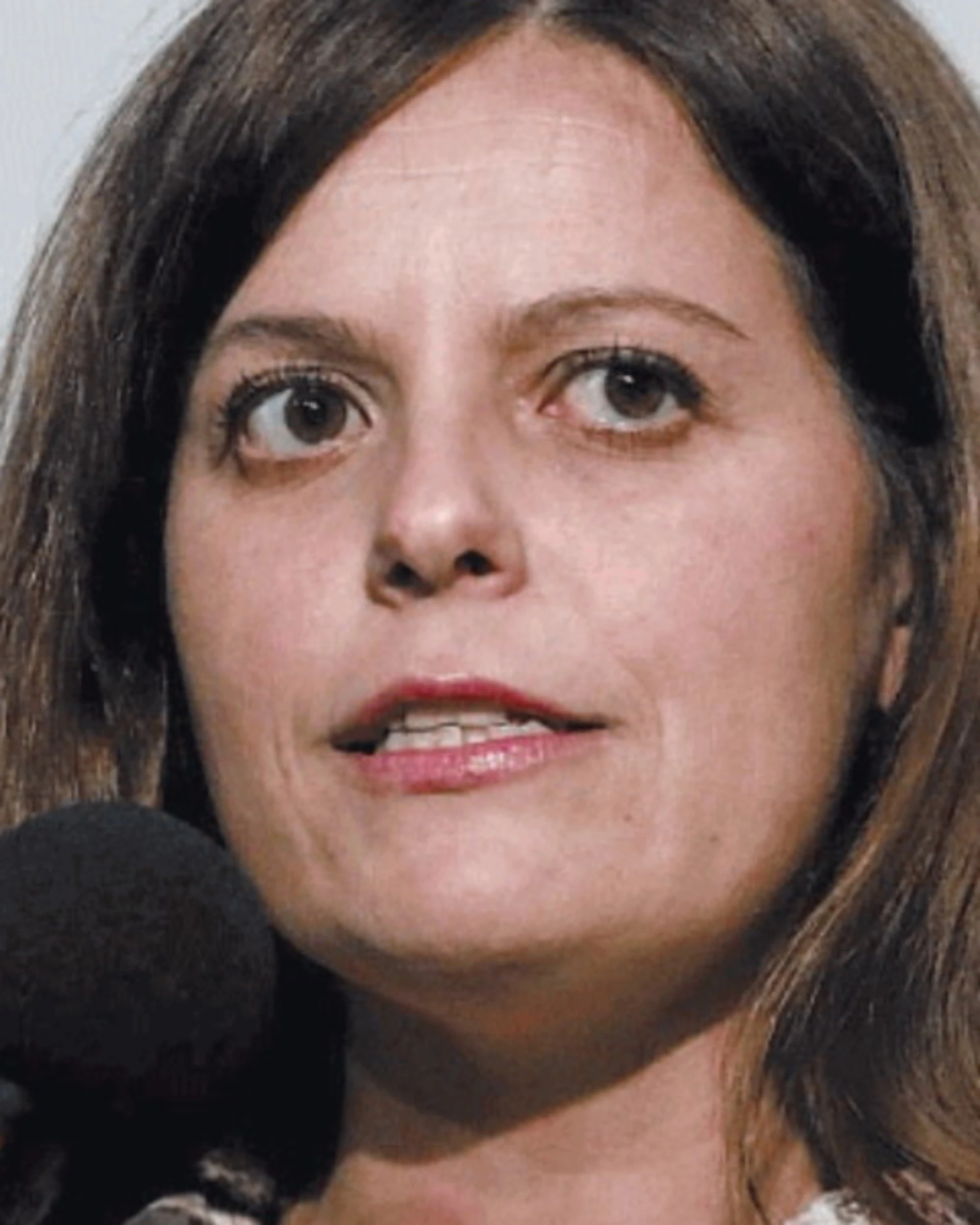 Ilaria Salis rischia e frigna: "Io perseguitata"