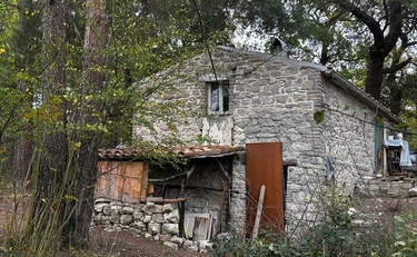 Famiglia nel bosco, ecco chi sono e come vivono i "neorurali"