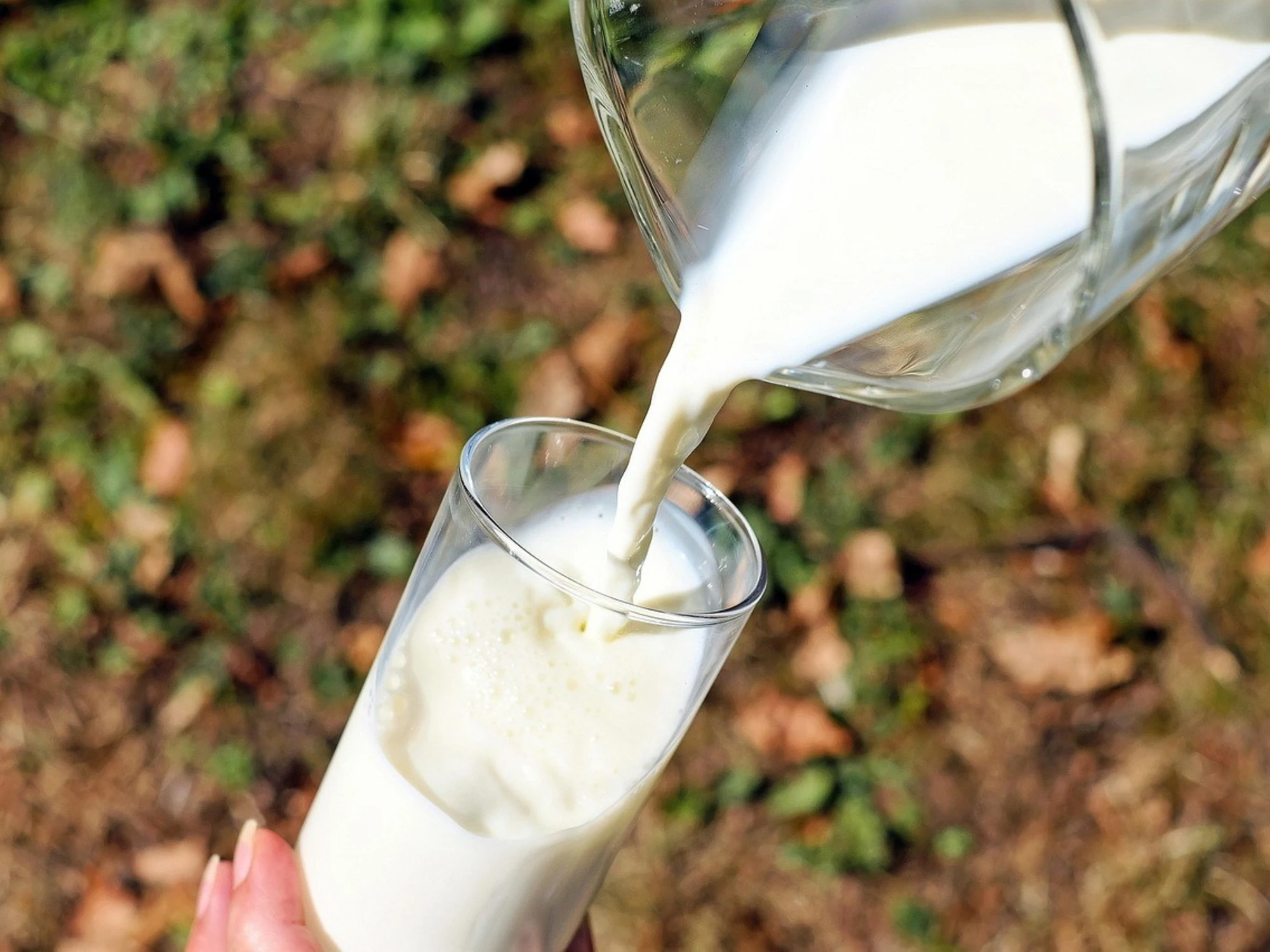 Latte ritirato, "corpi estranei": allarme in Italia, ecco il marchio