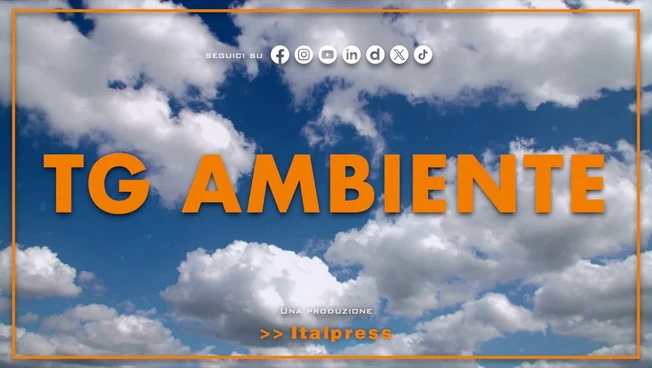 Tg Ambiente - 18/1/2026