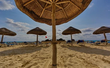 Doveri dâ estate