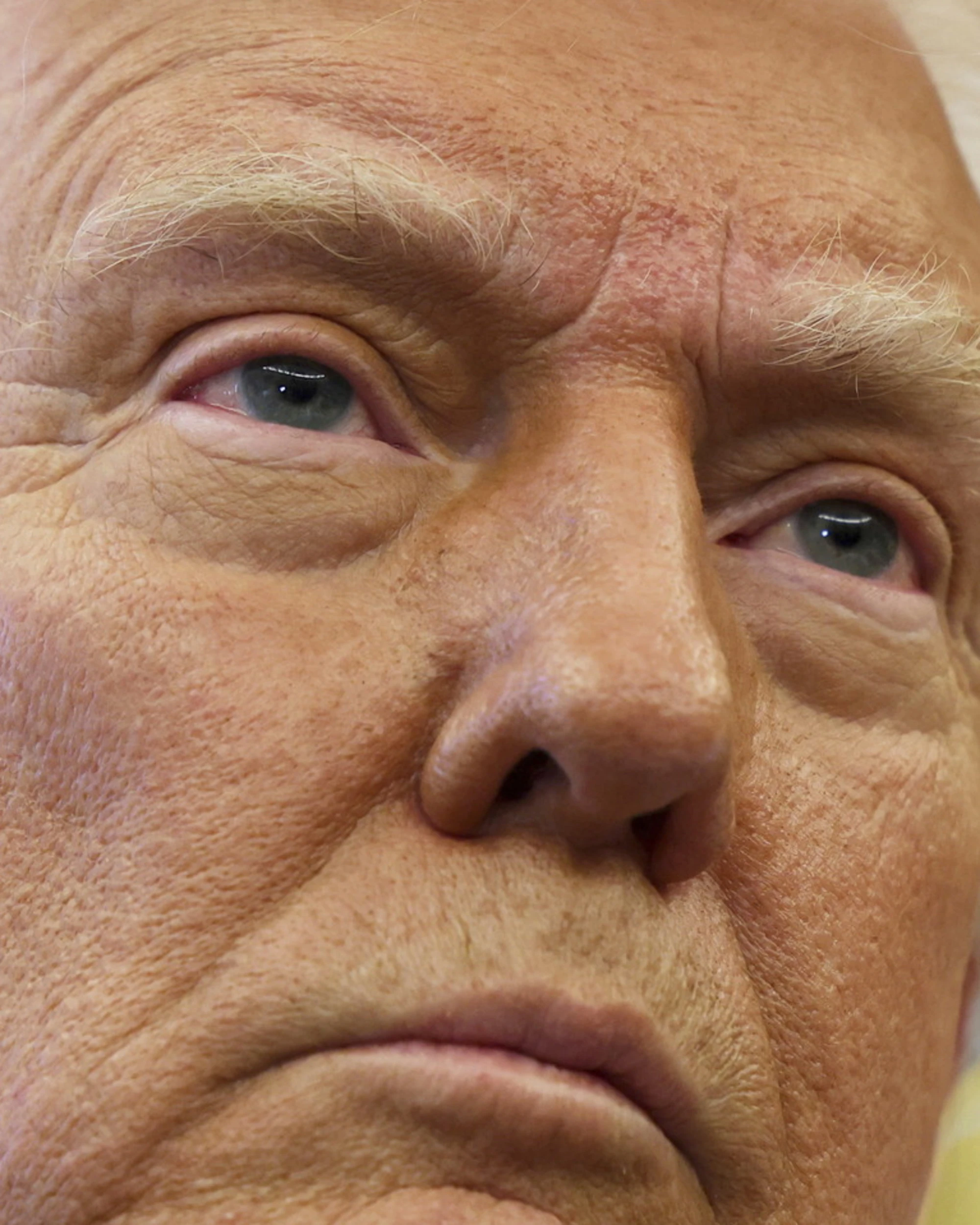 Donald Trump, diffuso il piano militare per la Groenlandia: "Nostra al 100 per cento"