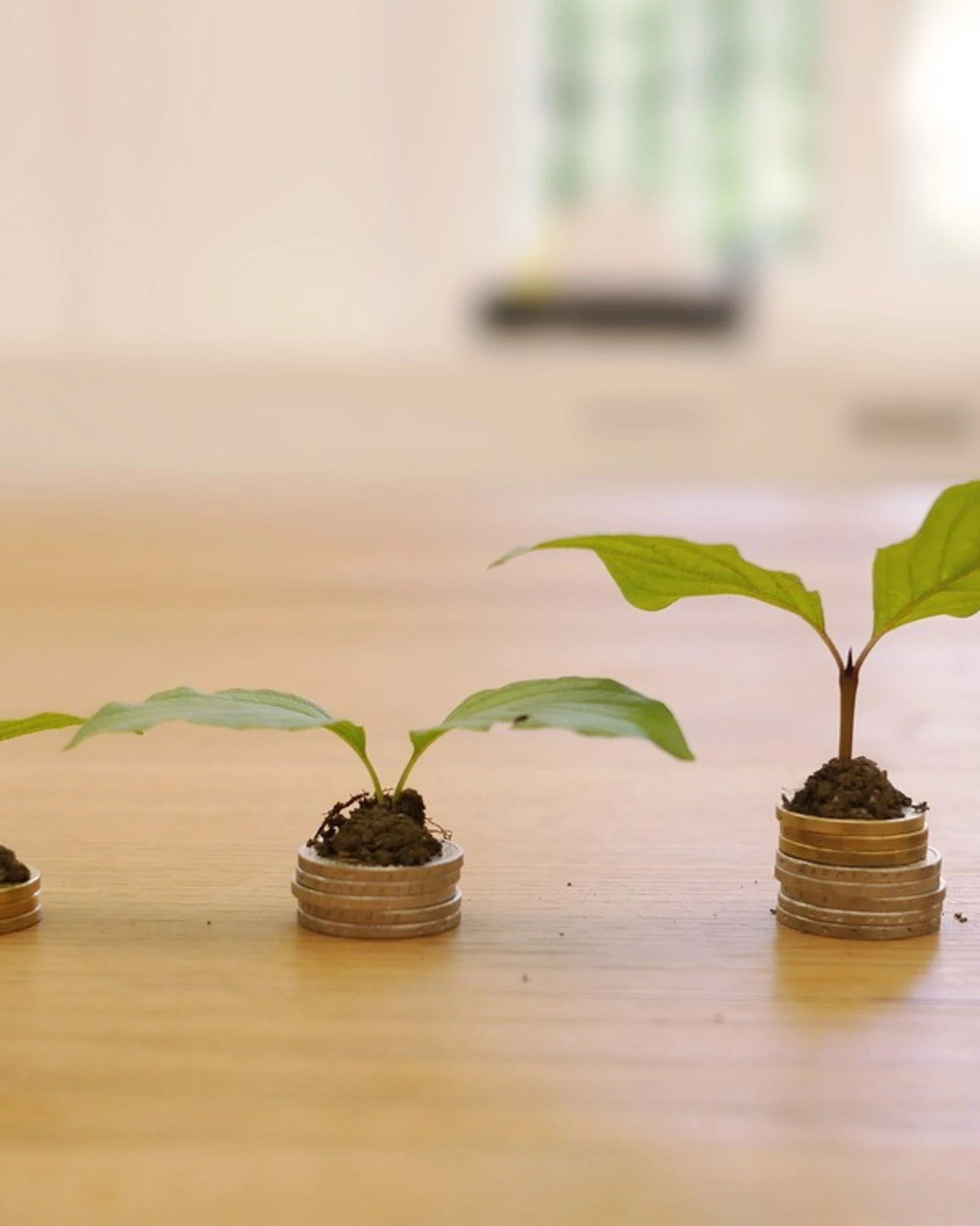 Finanza verde, non ci crede più nessuno: crollano gli investimenti nei fondi sostenibili