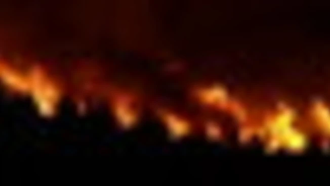 Gli incendi devastano i boschi della Patagonia in Argentina