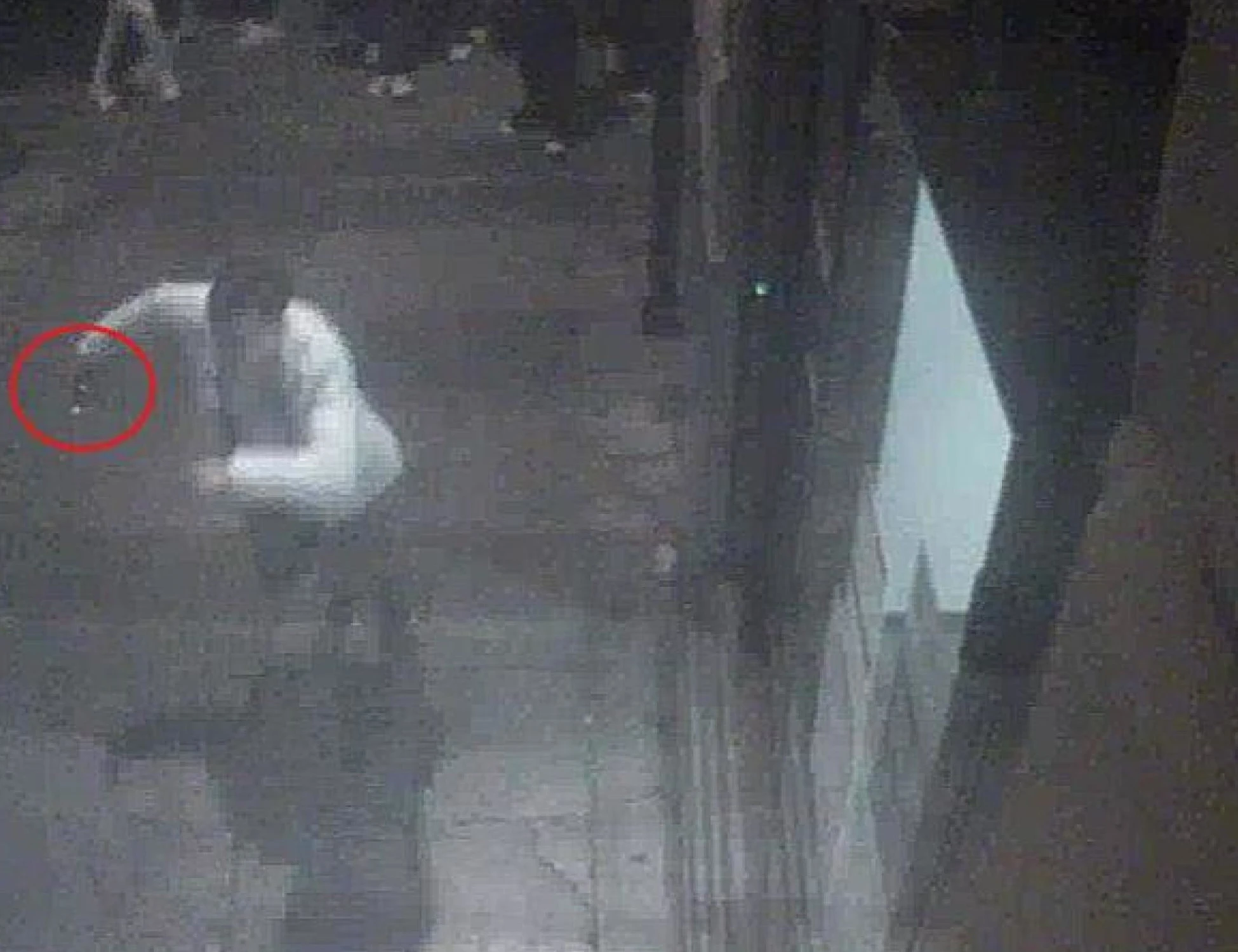 Monreale, il testimone: "In piedi sulla moto mentre scarrellava la pistola"