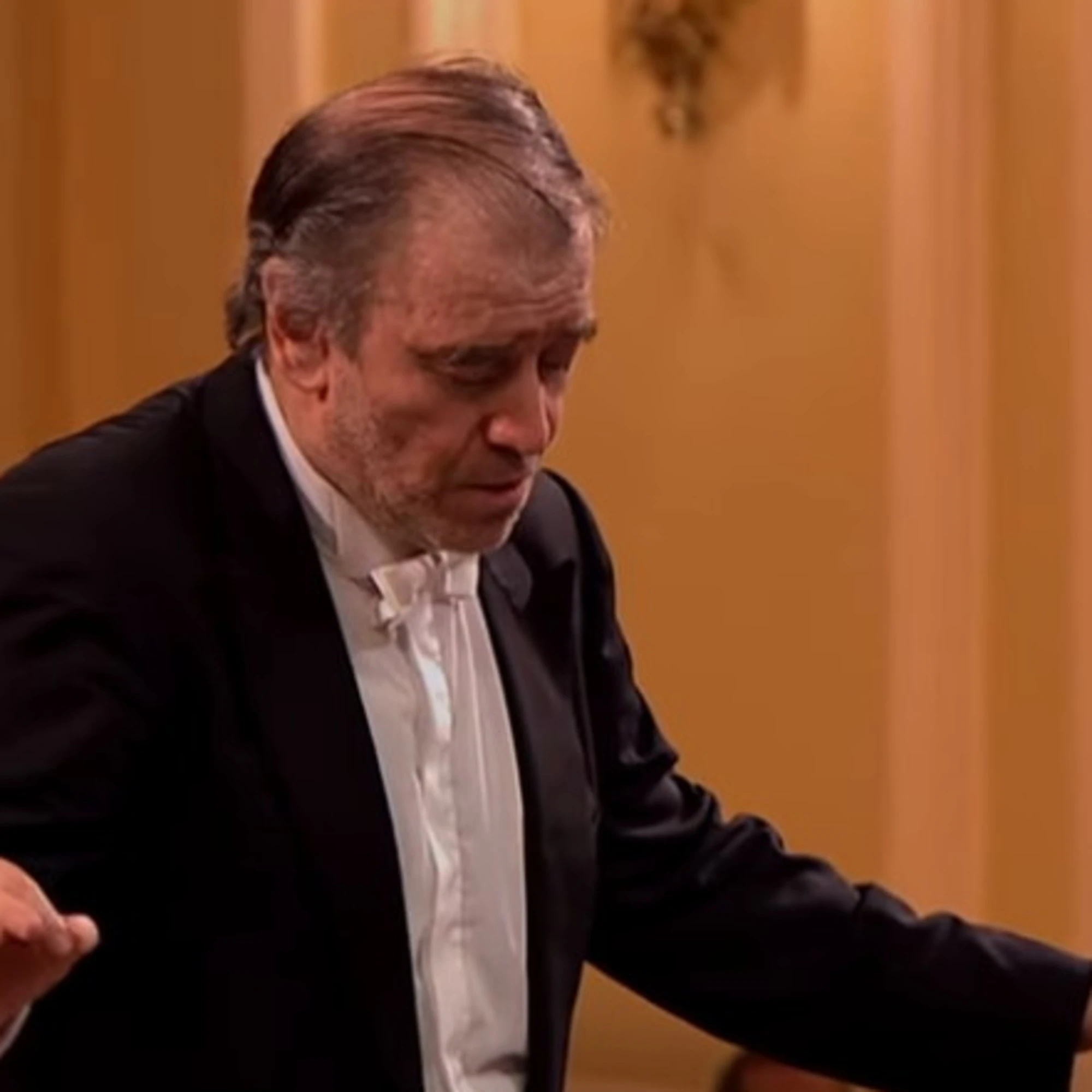 Gergiev, ecco perch&eacute; il direttore putiniano deve esibirsi&nbsp;