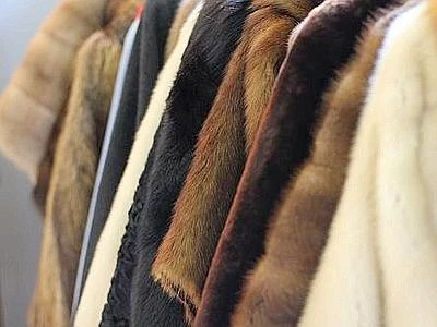 Ritirate molte pellicce contaminate a seguito della denuncia della LAV