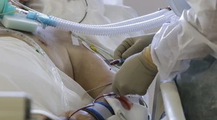 Matteo Bassetti, l'allarme sulla Variante Delta: "È una malattia diversa dal Coronavirus, rischiamo un ottobre molto caldo"