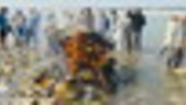 https://media.liberoquotidiano.it/KcLc1gtoqBsX-6jFo5cCwvjaxCanP7QBy9yN0mRaVzY/width:800/quality:90/aW1hZ2VzLzIwMjUvMTAvMjEvMTIzNTE1NzUzLTViMzZjOTQwLTUzZjUtNDRmZC05NmQwLTM3MzE3MDgxMzc0YS5qcGc.webp