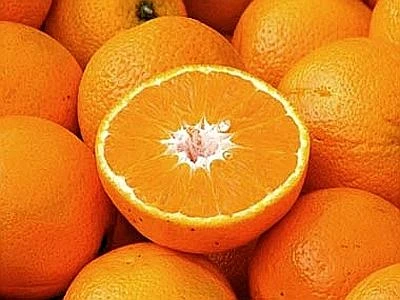 Con lo scarto della lavorazione degli agrumi di Sicilia energia da biomassa