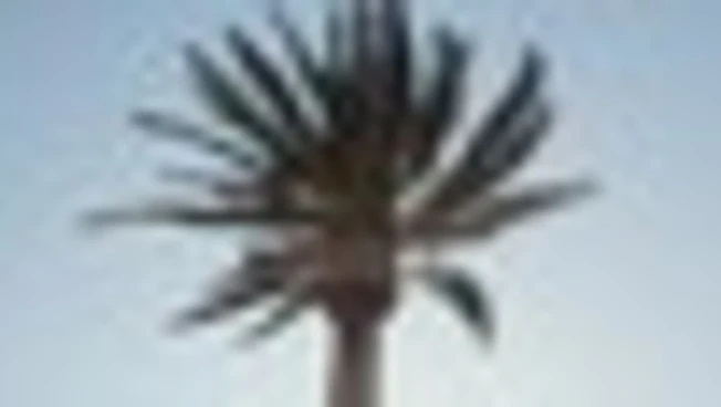 "Polignano a Mare Città della Musica" al via con il concerto di Syria