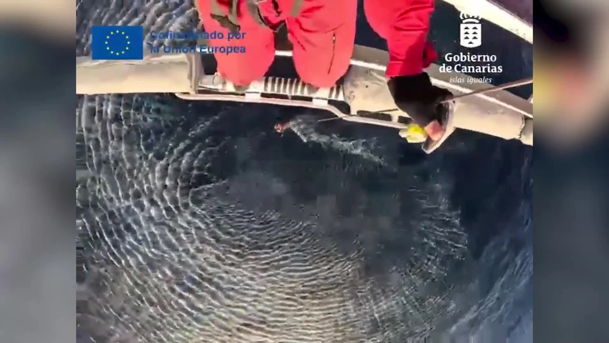 Un 27enne veneto muore travolto da un'onda alle Canarie mentre pescava