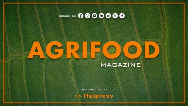 Agrifood Magazine - 24/12/2025